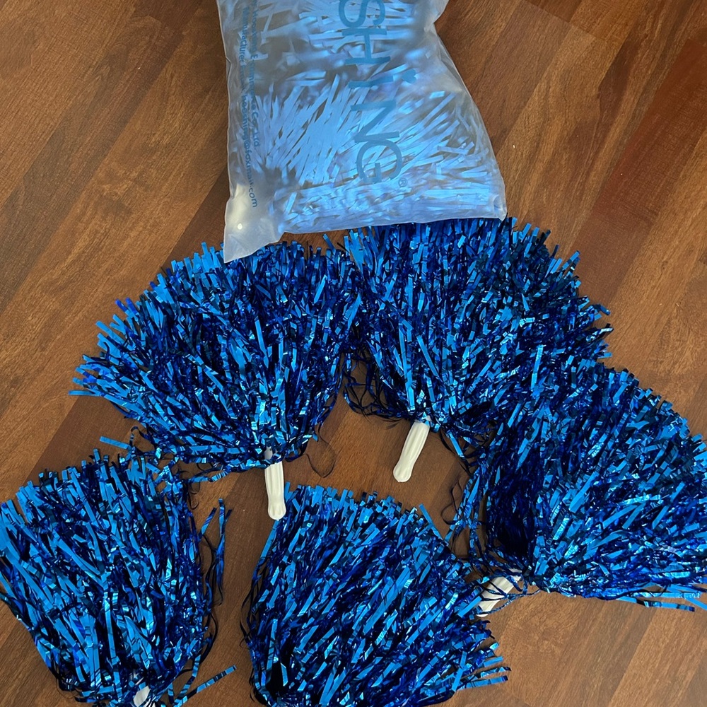 Blue 22 pc Pom Pom